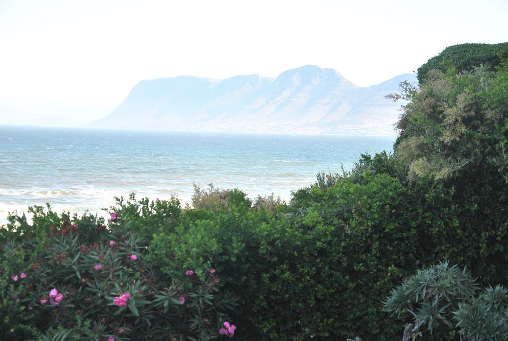 Seaview Apartment In Muizenberg Dış mekan fotoğraf